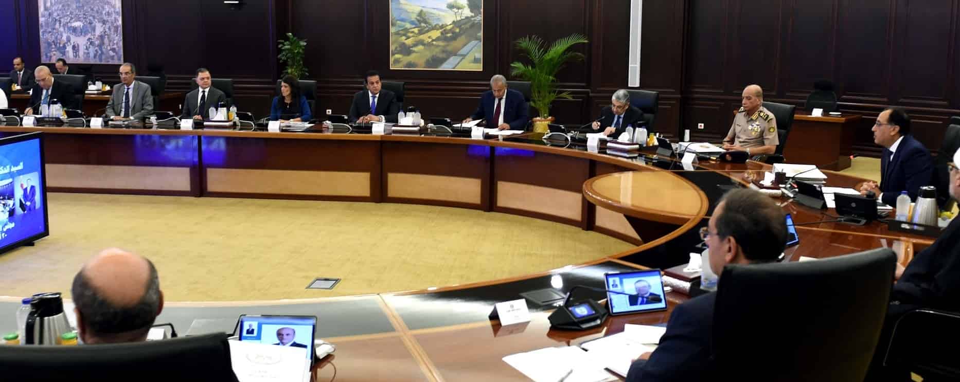 Cabinet ratifies draft law on establishing national council for green hydrogen

